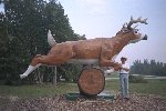 Deer 