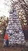 Hubcap Tree