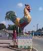 Noblesville Chicken