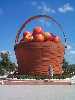 Apple Basket