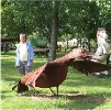 Another Bird