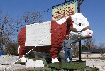 Sad Bull