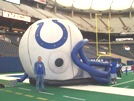 Colt helmet