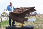 Entrance Eagle