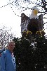 Jim Hipp Eagle