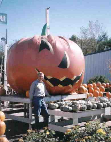 Keystone Pumpkin